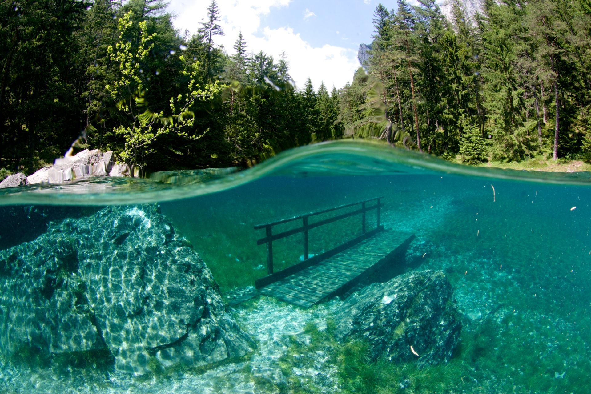 В прозрачной воде снуют. Грюнер Зее Австрия озеро. Зеленое озеро Грюнер Зее. Австрия озеро парк Грюнер. Парк зеленое озеро в Австрии.