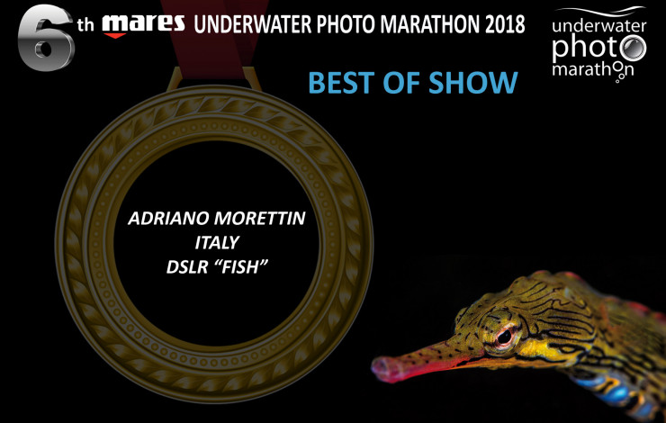 6th Mares Underwater Photo Marathon 2018