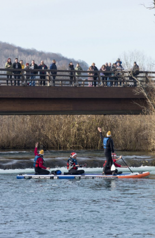 Foto Ivana Nobilo020