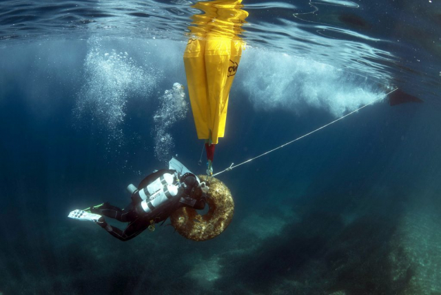 in_think_green11-220619