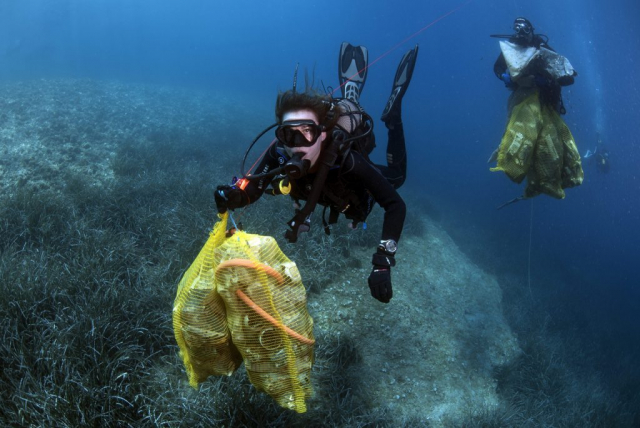 in_think_green21-220619