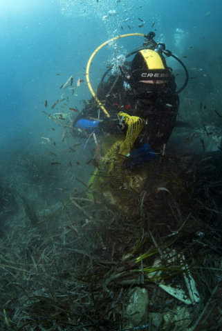 in_think_green23-220619