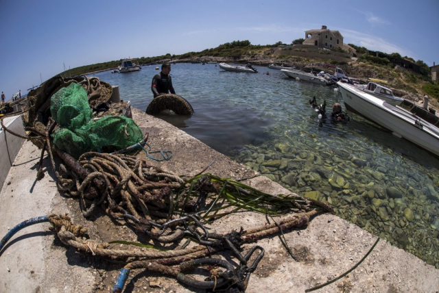 in_think_green9-220619