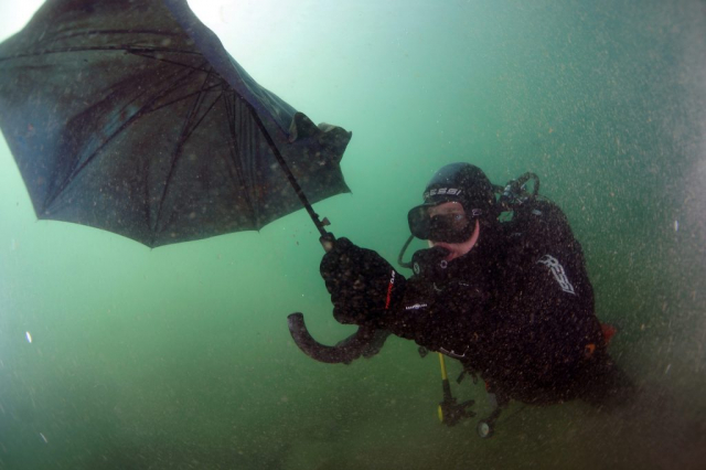 jarun_ronjenje08-051117