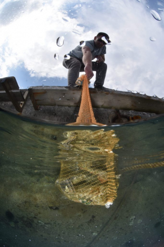 think_green15-130517