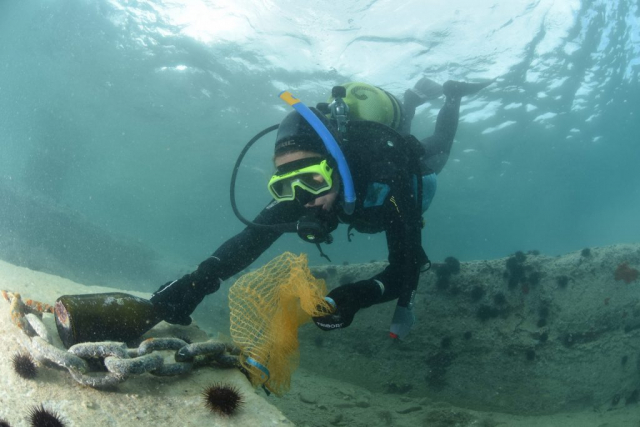 think_green24-130517